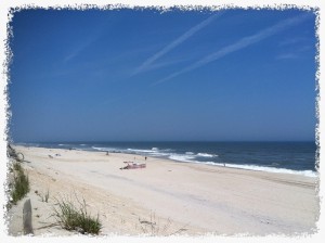 Current Trends in the LBI Real Estate Market and Storm Damaged Homes