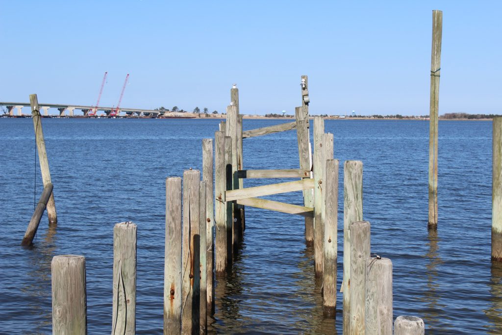 LBI X Zones and Flood Insurance