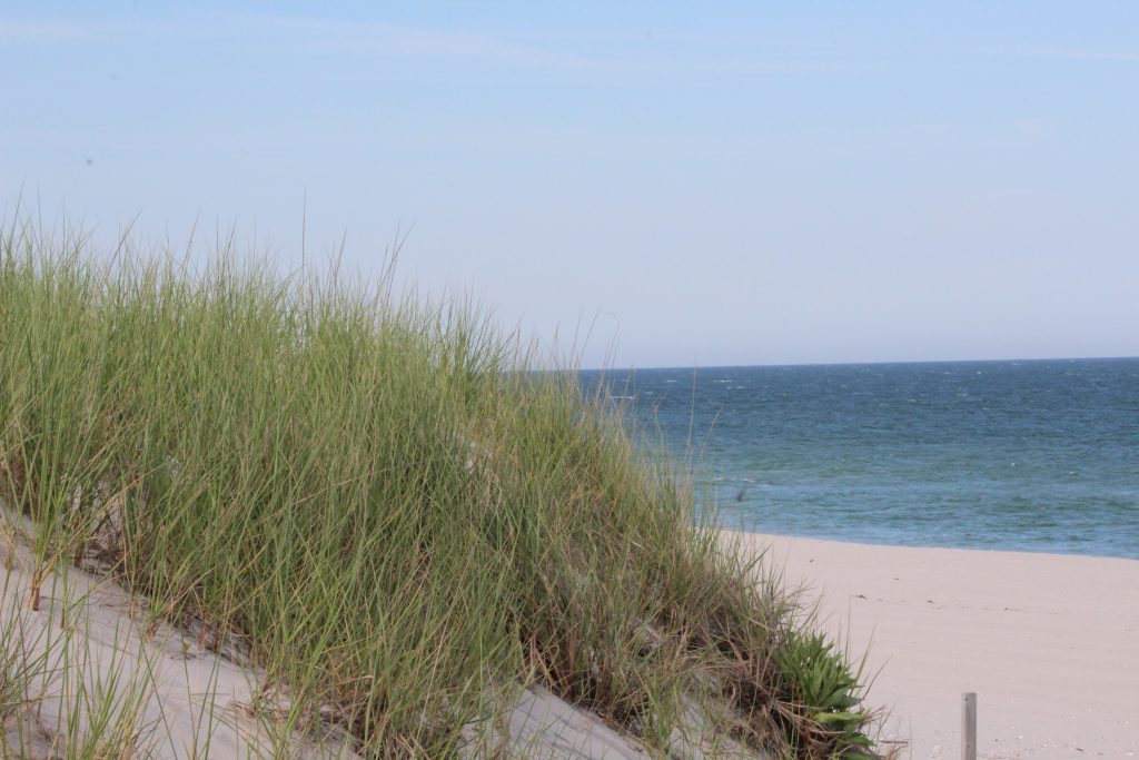 Making Offers in the LBI Real Estate Market