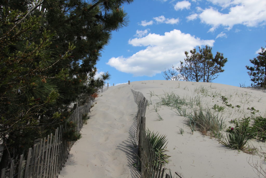 What to Do When Your Long Beach Island Home is Not Selling