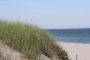 Active Listings in the LBI Real Estate Market