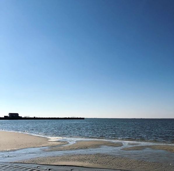 LBI Real Estate Update March 4th 2019