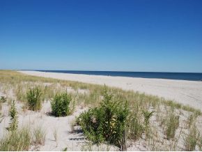 Three Reasons LBI Real Estate Should Have a Strong Spring