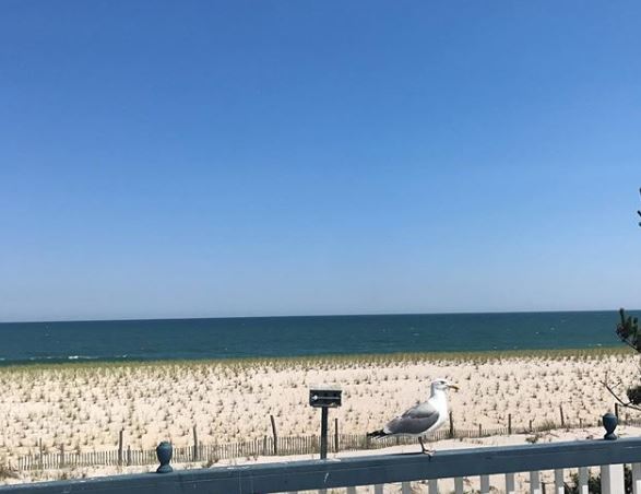 Long Beach Island Real Estate Offers