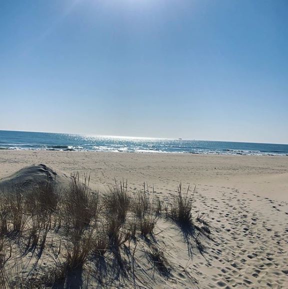 LBI Real Estate Daily Market Update March 29th 2020
