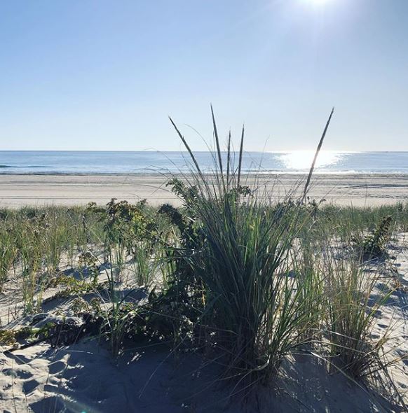 What Do More Homes For Sale on LBI Mean for Buyers?