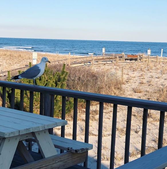 Viewpoint in the LBI Real Estate Market Matters