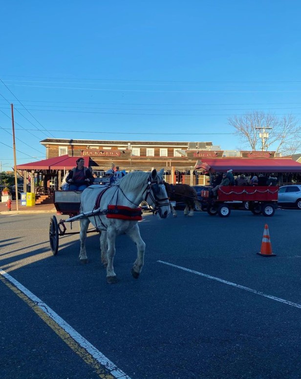 Beach Haven Christmas Carriage Ride 2022
